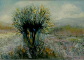 'WIERZBY - SIOSTRY' - 50x70cm, akryl na płótnie